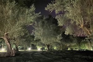 Casa_Santa_Elena_Solius_jardin_noche