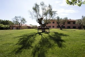 Casa_Santa_Elena_Solius_jardin_olivera