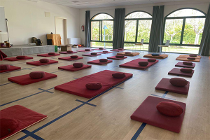 Casa_Santa_Elena_Solius_meditacion_02